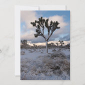 Joshua Tree Snowy Morning #2 Save The Date (Voorkant)