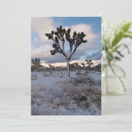 Joshua Tree Snowy Morning #2 Save The Date (Staand voorkant)