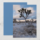 Joshua Tree Snowy Morning #2 Save The Date (Voorkant / Achterkant)