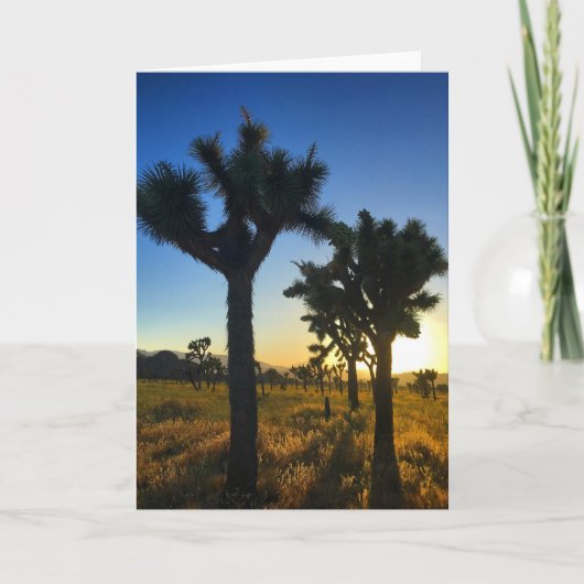 joshua tree sunset #1 greecard kaart (Voorkant)