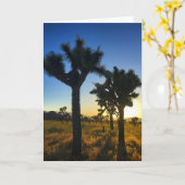 joshua tree sunset #1 greecard kaart (Gele Bloem)