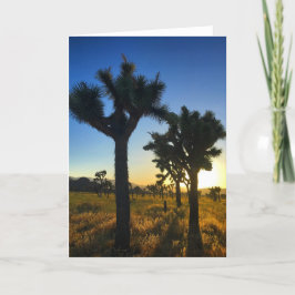 joshua tree sunset #1 greecard kaart