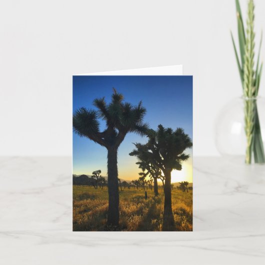 joshua tree sunset #1 notecard kaart (Voorkant)
