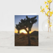 Joshua Tree Sunset #3 Notecard Kaart (Gele Bloem)
