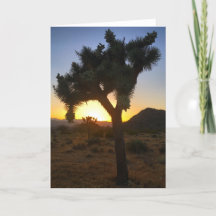 Joshua Tree Sunset #3 wenskaart