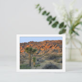 "Joshua Tree with Offspring" Briefkaart (Staand voorkant)
