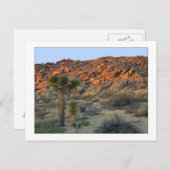 "Joshua Tree with Offspring" Briefkaart (Voorkant / Achterkant)