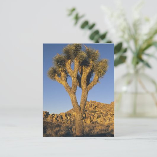Joshua Tree, Yucca brevifolia) en graniet Briefkaart (Staand voorkant)