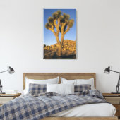Joshua Tree, Yucca brevifolia) en graniet Canvas Afdruk (Insitu (Slaapkamer))