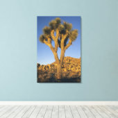 Joshua Tree, Yucca brevifolia) en graniet Canvas Afdruk (Insitu (Houten vloer))