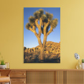 Joshua Tree, Yucca brevifolia) en graniet Canvas Afdruk (Insitu (Woonkamer))