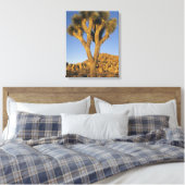 Joshua Tree, Yucca brevifolia), en graniet Canvas Afdruk (Insitu (Slaapkamer))