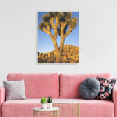 Joshua Tree, Yucca brevifolia), en graniet Canvas Afdruk (Insitu (Woonkamer))