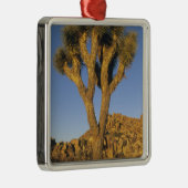 Joshua Tree, Yucca brevifolia) en graniet Metalen Ornament (Rechts)