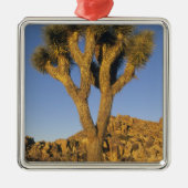 Joshua Tree, Yucca brevifolia) en graniet Metalen Ornament (Voorkant)