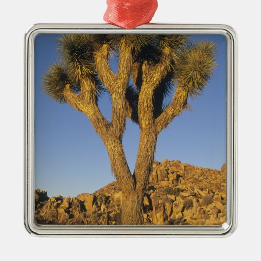 Joshua Tree, Yucca brevifolia) en graniet Metalen Ornament (Voorkant)