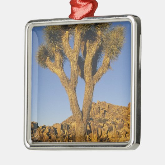 Joshua Tree, Yucca brevifolia) en graniet Metalen Ornament (Links)
