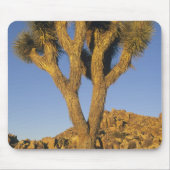 Joshua Tree, Yucca brevifolia) en graniet Muismat (Voorkant)
