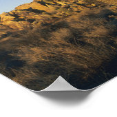 Joshua Tree, Yucca brevifolia) en graniet Poster (Hoek)