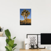 Joshua Tree, Yucca brevifolia) en graniet Poster (Thuiskantoor)