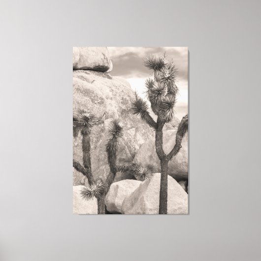 Joshua Trees Canvas Afdruk (Voorkant)
