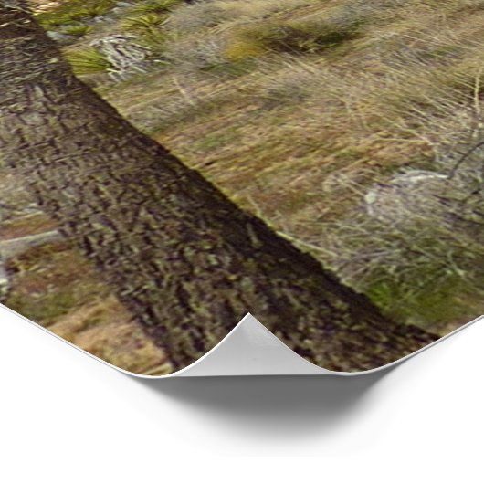 Joshua Trees en Blue Sky woestijnlandschap Poster (Hoek)