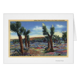 Joshua Trees en Desert Wild Flowers Uitzicht