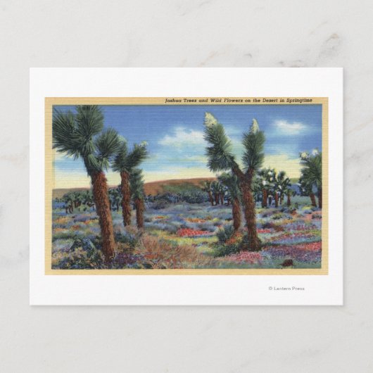 Joshua Trees en Desert Wild Flowers Uitzicht Briefkaart (Voorkant)