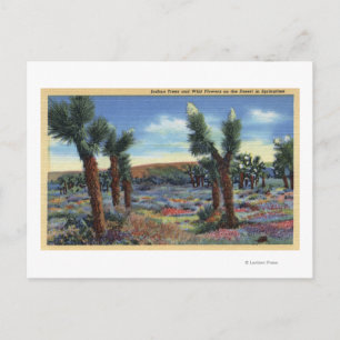 Joshua Trees en Desert Wild Flowers Uitzicht Briefkaart