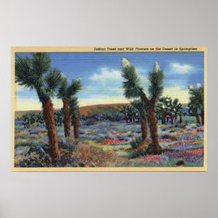 Joshua Trees en Desert Wild Flowers Uitzicht Poster