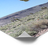 Joshua Trees in Goldfield, Nevada woestijn Poster (Hoek)