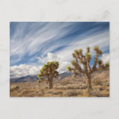 Joshua Trees in woestijn Briefkaart (Voorkant)