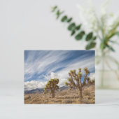 Joshua Trees in woestijn Briefkaart (Staand voorkant)