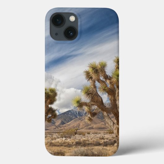 Joshua Trees in woestijn Case-Mate iPhone Case (Achterkant)