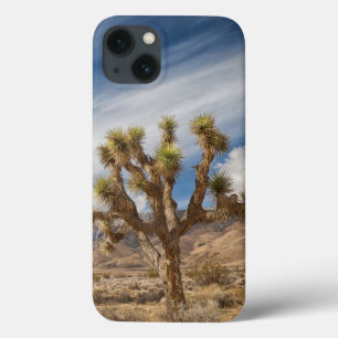 Joshua Trees in woestijn Case-Mate iPhone Case