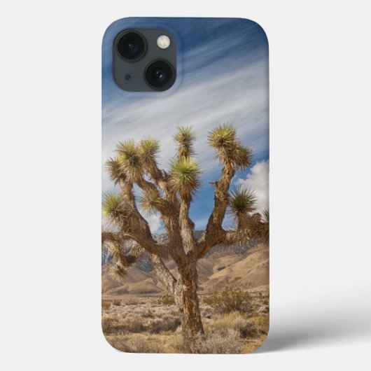 Joshua Trees in woestijn Case-Mate iPhone Case (Achterkant)