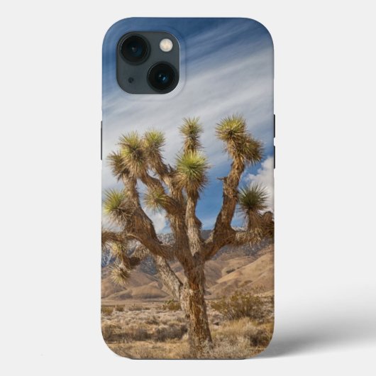 Joshua Trees in woestijn Case-Mate iPhone Case (Achterkant)