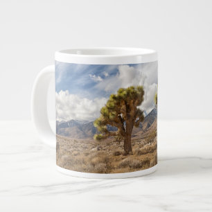 Joshua Trees in woestijn Grote Koffiekop