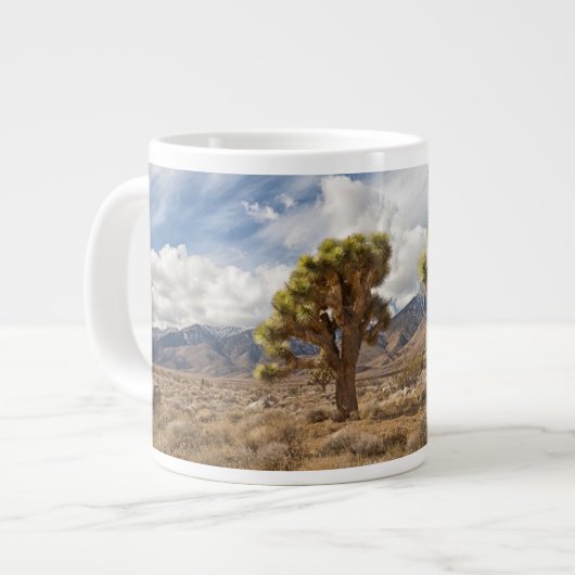 Joshua Trees in woestijn Grote Koffiekop (Links)