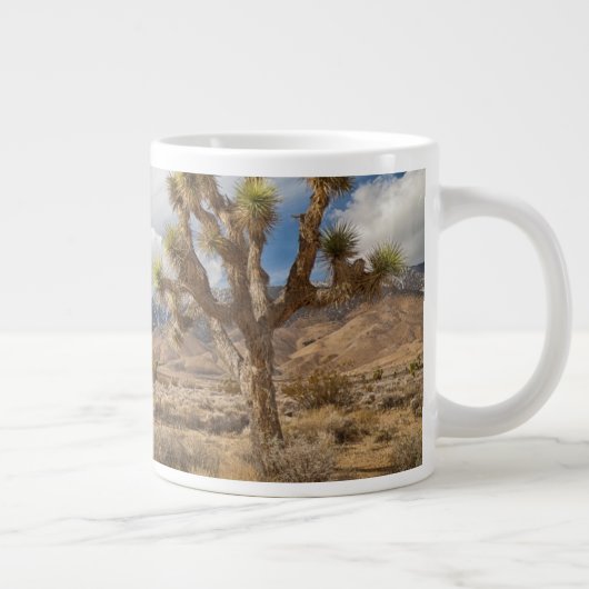 Joshua Trees in woestijn Grote Koffiekop (Rechts)