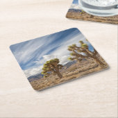 Joshua Trees in woestijn Kartonnen Onderzetters (Schuin)