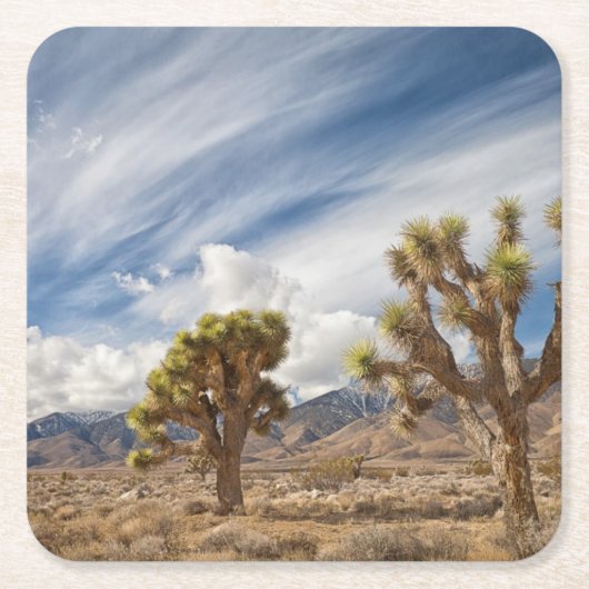 Joshua Trees in woestijn Kartonnen Onderzetters (Voorkant)