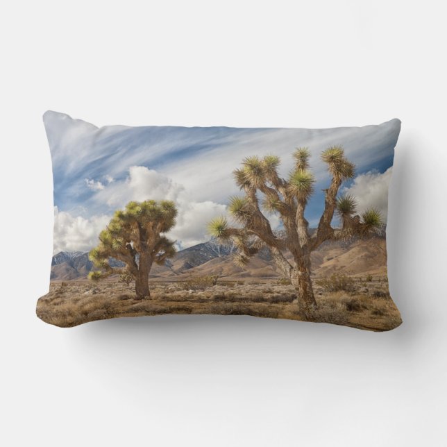 Joshua Trees in woestijn Kussen (Voorkant)