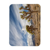 Joshua Trees in woestijn Magneet (Verticaal)