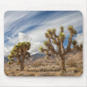 Joshua Trees in woestijn Muismat (Voorkant)
