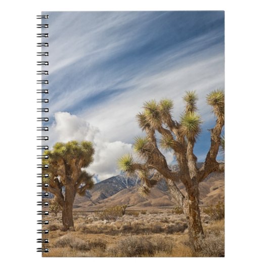 Joshua Trees in woestijn Notitieboek (Voorkant)