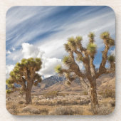 Joshua Trees in woestijn Onderzetter (Voorkant)