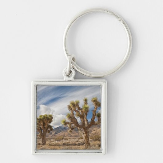 Joshua Trees in woestijn Sleutelhanger (Voorkant)