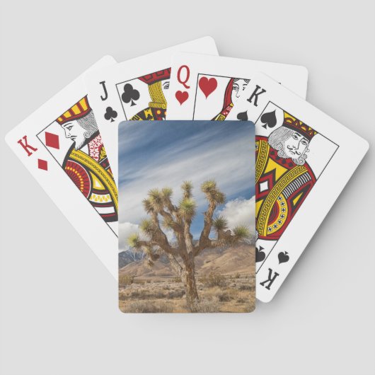 Joshua Trees in woestijn Speelkaarten (Achterkant)