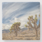 Joshua Trees in woestijn Stenen Onderzetter (Voorkant)